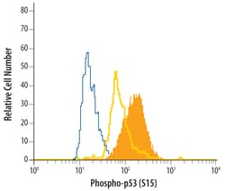Phospho-p53 (S15) Mouse anti-Human, Clone: 261352, R D Systems 100 &mu;g | Buy Online | R&D Systems | Fisher Scientific