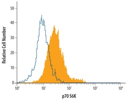 Human/Mouse/Rat p70 S6 Kinase Antibody, R D Systems 25&mu;g; Unlabeled:Antibodies,
