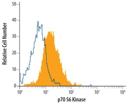 Human/Mouse/Rat p70 S6 Kinase Antibody, R D Systems 25&mu;g; Unlabeled:Antibodies,