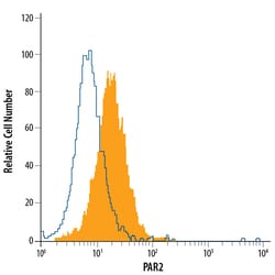 Human PAR2 PE-conjugated Antibody, R D Systems 100 Tests | Buy Online | R&D Systems | Fisher Scientific