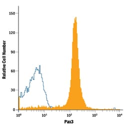 Human/Mouse Pax3/Pax7 APC-conjugated Antibody, R D Systems 100 Tests; APC:Antibodies,