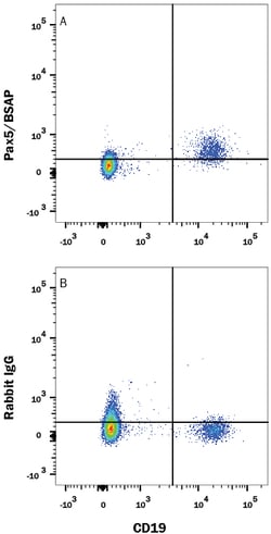 Human Pax5/BSAP Alexa Fluor 647-conjugated Antibody, R D Systems 25 Tests;