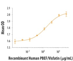 R D Systems Recombinant Human PBEF/Visfatin Protein 50 &mu;g | Buy Online | R&amp;D Systems&trade; | Fisher Scientific