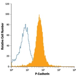 Human P-Cadherin APC-conjugated Antibody, R D Systems 100 Tests; APC:Antibodies,