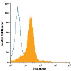 Human P-Cadherin PE-conjugated Antibody, R D Systems 100 Tests; PE:Antibodies,