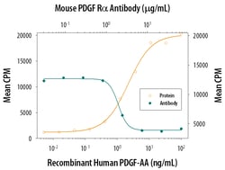 Mouse PDGF R alpha Antibody, R D Systems 100&mu;g; Unlabeled:Antibodies,