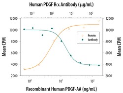 Human PDGF R alpha Antibody, R D Systems 25&mu;g; Unlabeled:Antibodies,