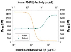 Human PDGF R beta Antibody, R D Systems 25&mu;g; Unlabeled:Antibodies,