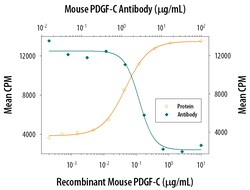 Mouse PDGF-C Antibody, R D Systems 25&mu;g; Unlabeled:Antibodies, Polyclonal