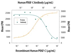 Human PDGF-C Antibody, R D Systems 25&mu;g; Unlabeled:Antibodies, Polyclonal