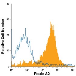 Human/Mouse/Rat Plexin A2 APC-conjugated Antibody, R D Systems 100 Tests;