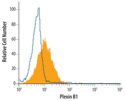 Human Plexin B1 Antibody, R D Systems 25 &mu;g | Buy Online | R&D Systems | Fisher Scientific