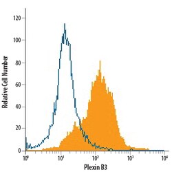 Human Plexin B3 Antibody, R D Systems 100&mu;g; Unlabeled:Antibodies, Polyclonal