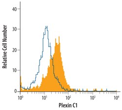 Plexin C1 Goat anti-Human, Polyclonal, R D Systems 100&mu;g; Unlabeled:Antibodies,