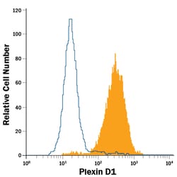 Human Plexin D1 Alexa Fluor 488-conjugated Antibody, R D Systems 100 Tests;