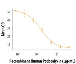 R&D Systems&trade;&nbsp;Recombinant Human Podocalyxin Protein