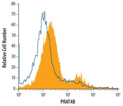 Mouse/Rat PRAT4B Antibody, R D Systems 25 &mu;g | Buy Online | R&D Systems | Fisher Scientific