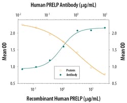 Human PRELP Antibody, R D Systems 25&mu;g; Unlabeled:Antibodies, Polyclonal