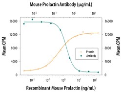 Mouse/Rat Prolactin Antibody, R D Systems 25&mu;g; Unlabeled:Antibodies,