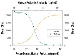 Human Prolactin Antibody, R D Systems 100&mu;g; Unlabeled:Antibodies, Polyclonal