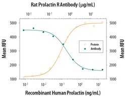 Rat Prolactin R Antibody, R D Systems 25&mu;g; Unlabeled:Antibodies, Polyclonal