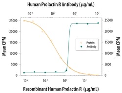 Human Prolactin R Antibody, R D Systems 500ug; Unlabeled:Antibodies, Monoclonal