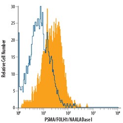 Human PSMA/FOLH1/NAALADase I APC-conjugated Antibody, R D Systems 100 Tests;