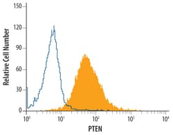 Human/Mouse PTEN Antibody, R D Systems 100ug; Unlabeled:Antibodies, Monoclonal