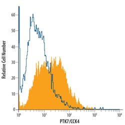Human/Rat PTK7/CCK4 Alexa Fluor 488-conjugated Antibody, R D Systems 100
