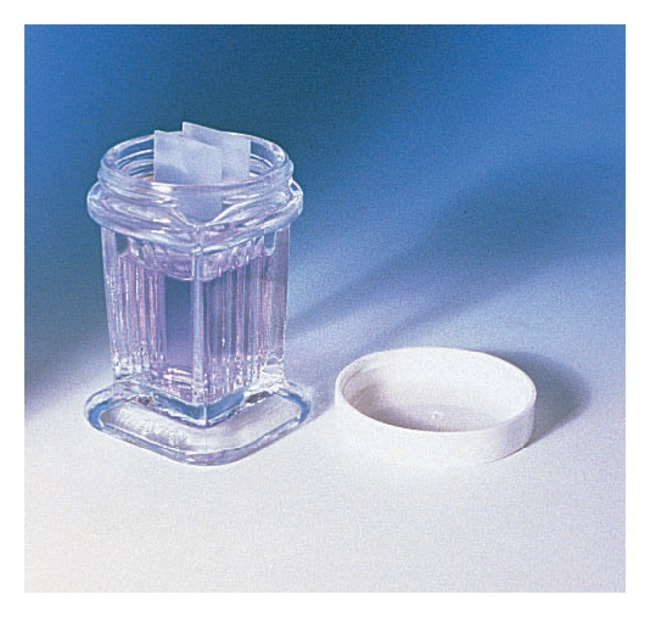 DWK Life SciencesWheaton Glass Staining Dish for 10 Slides 10 SlideDishes Fisher Scientific