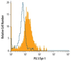 Human PU.1/Spi-1 Antibody, R D Systems 25&mu;g; Unlabeled:Antibodies, Monoclonal