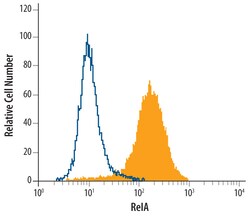 Human/Mouse/Rat RelA/NF kappa B p65 Antibody, R D Systems 25&mu;g; Unlabeled:Antibodies,