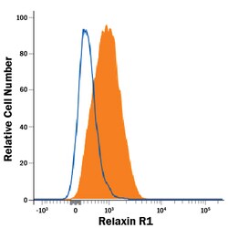 Human/Mouse/Rat Relaxin R1 Antibody, R D Systems:Antibodies:Primary Antibodies