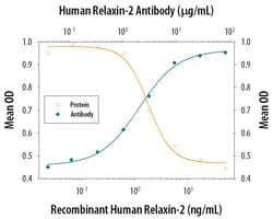 Human Relaxin-2 Antibody, R D Systems 100 &mu;g | Buy Online | R&D Systems | Fisher Scientific