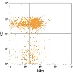 Human/Mouse ROR gamma t/RORC2/NR1F3 APC-conjugated Antibody, R D Systems:Antibodies:Primary