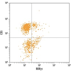 Human/Mouse ROR gamma t/RORC2/NR1F3 PerCP-conjugated Antibody, R D Systems
