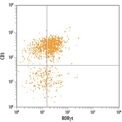 Human/Mouse ROR gamma t/RORC2/NR1F3 PE-conjugated Antibody, R D Systems:Antibodies:Primary