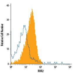 Human ROR2 APC-conjugated Antibody, R D Systems 100 Tests; APC:Antibodies,