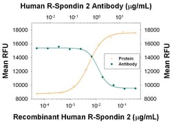 Human R-Spondin 2 Antibody, R D Systems:Antibodies:Primary Antibodies