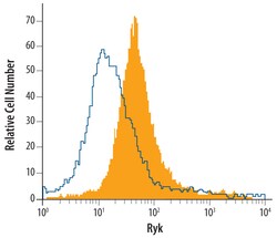 Human Ryk Antibody, R D Systems 100&mu;g; Unlabeled:Antibodies, Polyclonal