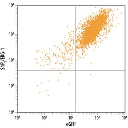 Mouse S1P1/EDG-1 Biotinylated Antibody, R D Systems 100 Tests; Biotin:Antibodies,