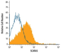 Human SCARA5 Antibody, R D Systems 25&mu;g; Unlabeled:Antibodies, Monoclonal