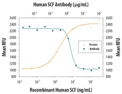 Human SCF/c-kit Ligand Antibody, R D Systems 1mg; Unlabeled:Antibodies,