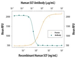 Human SCF/c-kit Ligand Antibody, R D Systems 25&mu;g; Unlabeled:Antibodies,