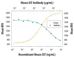 Mouse SCF/c-kit Ligand Antibody, R D Systems 25&mu;g; Unlabeled:Antibodies,