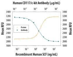 Human CD117/c-kit Antibody, R D Systems 100&mu;g; Unlabeled:Antibodies,