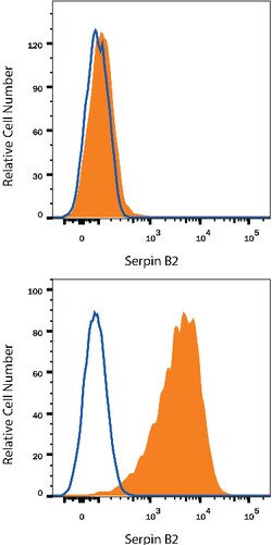 Human Serpin B2 Antibody, R D Systems:Antibodies:Primary Antibodies