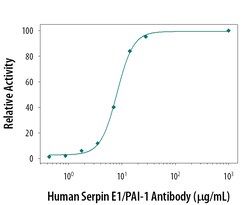 Human Serpin E1/PAI-1 Antibody, R D Systems 25&mu;g; Unlabeled:Anticuerpos