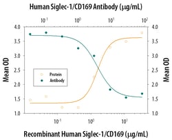 Human Siglec-1/CD169 Antibody, R D Systems 100&mu;g; Unlabeled:Antibodies,