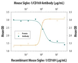 Mouse Siglec-1/CD169 Antibody, R D Systems 25&mu;g; Unlabeled:Antibodies,